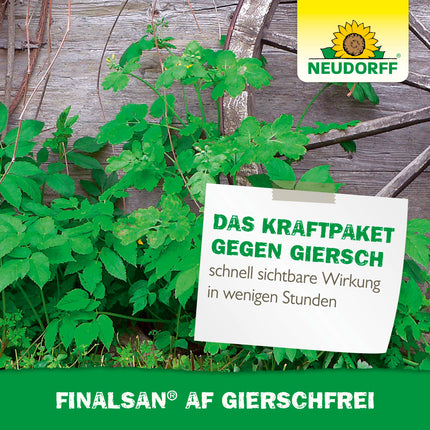 Neudorff Finalsan AF GierschFrei – Fast-acting weed killer against ground elder and horsetail. Effective right down to the roots, 750 ml