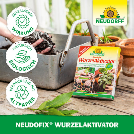 Neudorff Neudofix Root Activator – Natural root activator for optimal and rapid root growth of cuttings and young plants, 40 g, multicolored