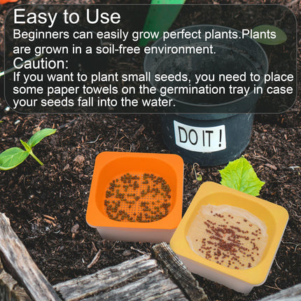 Set of 6 transparent microgreen trays with plastic humidity dome, BPA-free germination tray, reusable seed tray for planting cat grass, broccoli, bean sprouts and much more