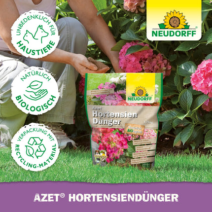 Neudorff Azet Hydrangea Fertilizer – Organic hydrangea fertilizer with 100 days of long-term effect ensures color-intensive hydrangeas, camellias, and bougainvilleas, 1.75 kg
