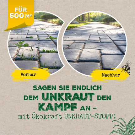 Scheidler Ökokraft Weed Stop Base Vinegar/Acetum 3 Liters – Natural Weed Killer for 500 m2 Extra Strong – Weed Remover for Paths/Paving/Patios – Long-Term Weed-Free
