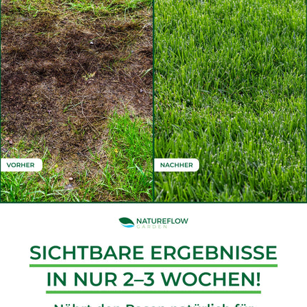 Organic Lawn Fertilizer Spring TEST WINNER Made in Germany – 2.5kg for 100sqm – Organic Lawn Fertilizer for healthy soil &amp; lush green lawn – Lawn Fertilizer, Spring Lawn Fertilizer from Natureflow Garden