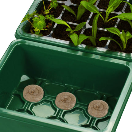 Jujey 4 Pack Mini Greenhouse and Growing Equipment, Grow Box, Indoor Greenhouse with Lid and Ventilation, Growing Kit Ideal for Plant Growth and Seed Germination Green