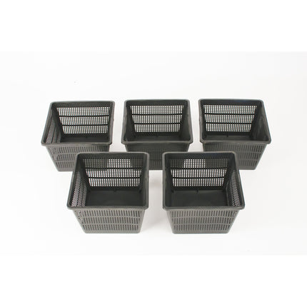Inter Flowers GmbH Inter Flowers – 5-pack plant baskets – square – 18 x 18 x 12 cm – garden/pond planting for aquatic plants – allow maximum water flow