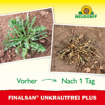 Neudorff Finalsan UnkrautFrei Plus Concentrate, a powerful weed killer that works right down to the root. Fast-acting weed remover, 1 x 2 liters, green