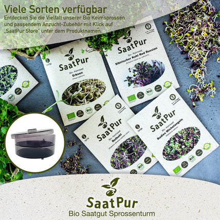 SaatPur® Sprouting Box Set 4 with four levels as a sprouting device: Sprout cultivation and microgreens growing trays. Germination box, germination tray, sprouting box, sprouting house, sprouting device