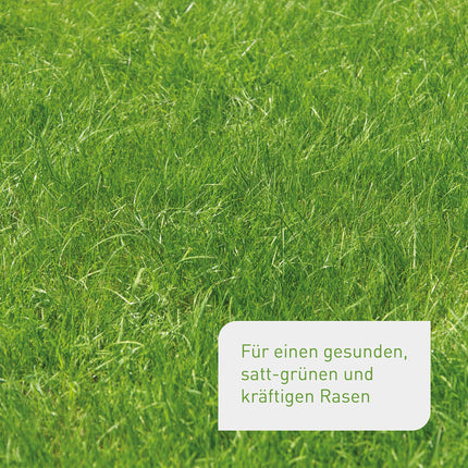 Plantura Organic Lawn Fertilizer Spring/Summer, 100% organic long-term fertilizer for a lush green lawn, effective for 3 months, healthy lawn, displaces moss and weeds, low-dust granules, 10.5 kg for 250 m²