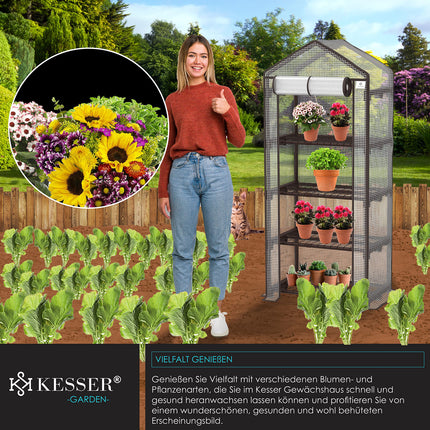 KESSER® Premium 4-tier greenhouse - 69 x 50 x 158 cm greenhouse with 4 shelves - space-saving, high-quality greenhouse for gardens and balconies, stable and easy to assemble