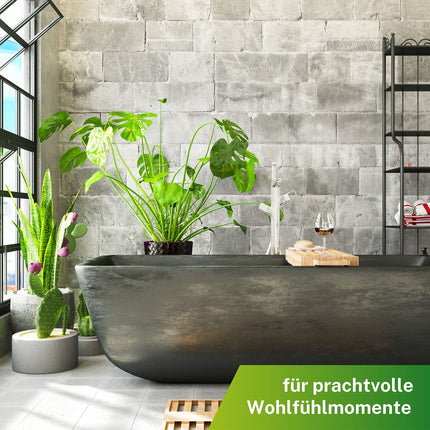 Greenyp 50x universal fertilizer green plants fertilizer sticks for all green plants, houseplants and balcony plants I long-term fertilizer NPK fertilizer with extra iron and 3 months fertilizing power