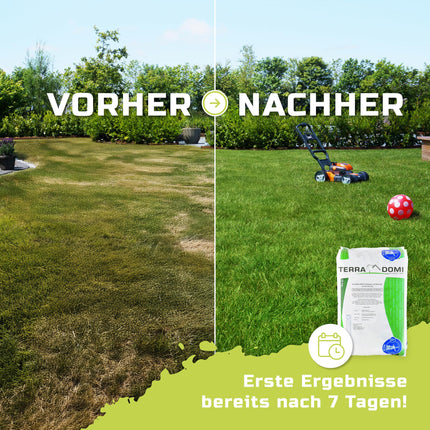 TerraDomi Lawn Fertilizer Spring, Summer &amp; Autumn 25kg NPK 15-15-15 | Fertilizer with long-lasting effect | Displaces moss | For over 1000 m² of lawn | Spreader-suitable fertilizer | Low dust &amp; with extra sulfur